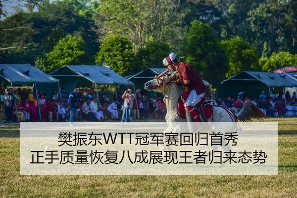 樊振东WTT冠军赛回归首秀 正手质量恢复八成展现王者归来态势